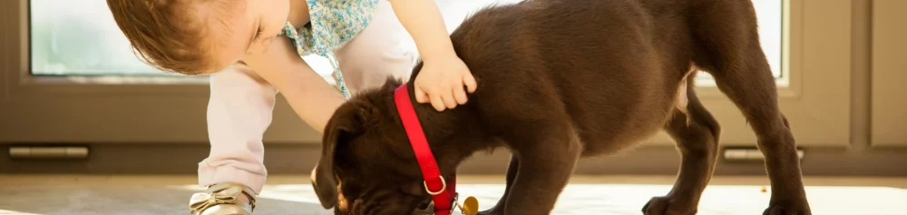 How to Choose the Right Pet for Kids
