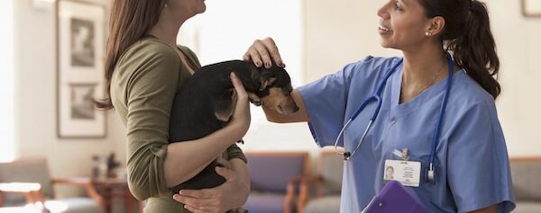 "How to Choose the Right Pet Insurance"