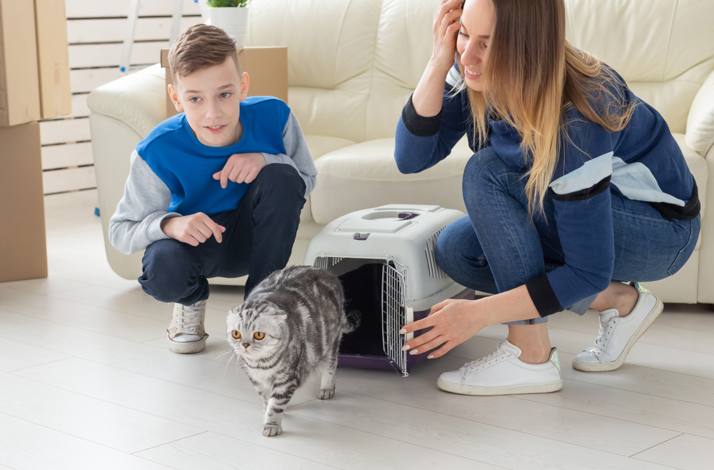 How to Help Your Pet Adjust to a New Home