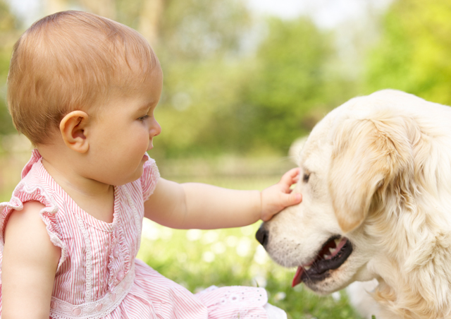 How to Introduce Your Dog to a New Baby